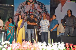 Dhookudu Audio Release