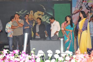 Dhookudu Audio Release