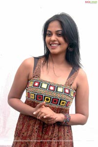 Bindu Reddy