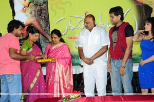 Padaharella Vayasu Audio Release