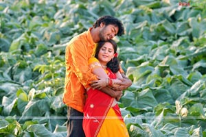 Allari Naresh, Farzana