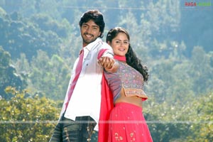 Allari Naresh, Farzana