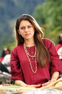 Allu Arjun, Hansika Motwani