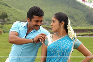 Surya, Asin