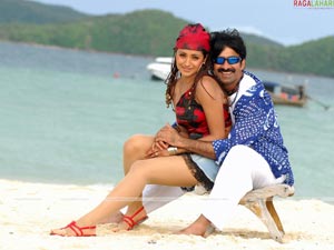 Raviteja, Trisha