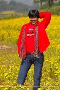 Raviteja, Trisha