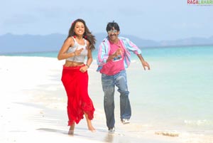 Raviteja, Trisha