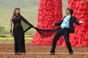 Raviteja, Trisha