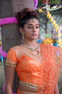 Priyamani From Toss