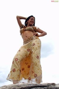Sexy Sraddha Arya in Godava