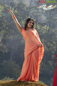 Sridevi From Pellikani Prasad