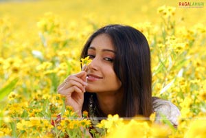 Tarun, Ileana, Jagapathi Babu