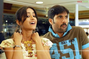 Tarun, Ileana, Jagapathi Babu