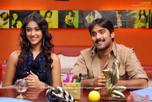 Tarun, Ileana, Jagapathi Babu