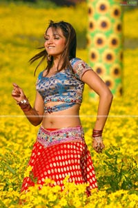 Trisha in Krishna