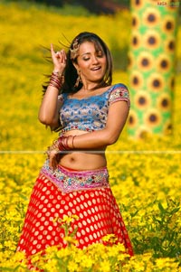 Trisha in Krishna