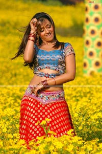 Trisha in Krishna