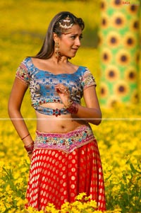 Trisha in Krishna