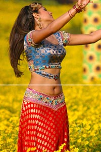 Trisha in Krishna