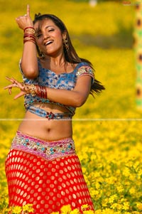 Trisha in Krishna