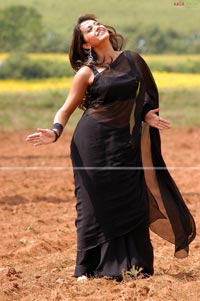 Trisha in Krishna