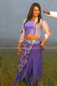 Trisha in Krishna