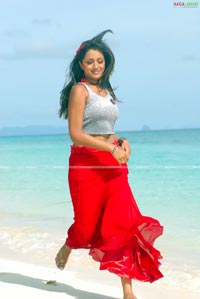 Trisha in Krishna