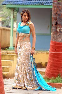 Trisha in Krishna