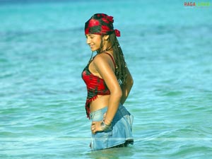 Trisha in Krishna