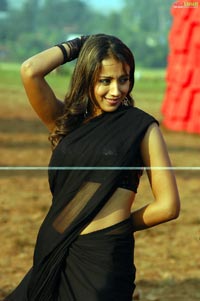 Trisha in Krishna