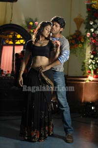 Nithin, Ileana