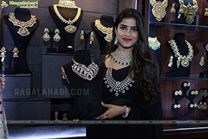 Grand Launch of Hi Life Jewels at HICC