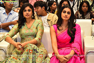 Gaaya Padda Simham Movie Pre-Release Event
