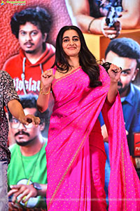 Gaaya Padda Simham Movie Pre-Release Event