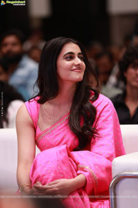 Gaaya Padda Simham Movie Pre-Release Event