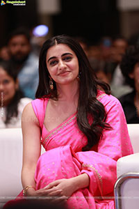 Gaaya Padda Simham Movie Pre-Release Event
