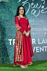 Godari Gattupaina Movie Trailer Launch Event 