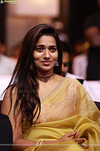 Love Insurance Kompany (LIK) Movie Pre Release Event 