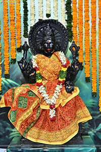 Pochamma Web Series Press Meet 