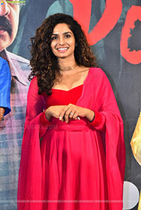 Pochamma Web Series Press Meet 