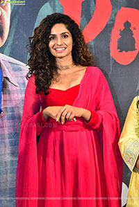 Pochamma Web Series Press Meet 