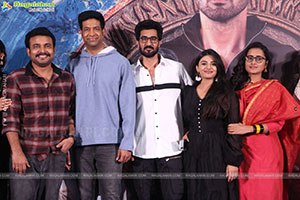 Rakasa Movie Blockbuster Celebrations