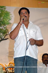 Romeo Audio Release