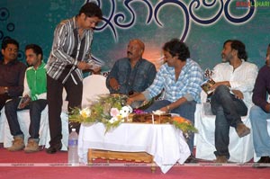 Sneha Geetam Audio Release