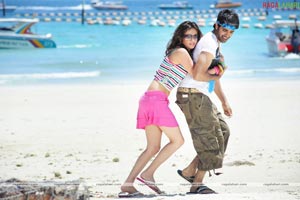 Sushanth, Sneha Ullal