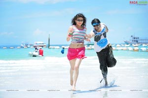 Sushanth, Sneha Ullal