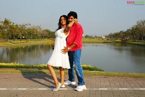 Ali, Suprena, Allari Ravi Babu, Malishka