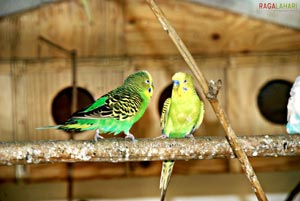 Bannerghatta National Park, Bangalore