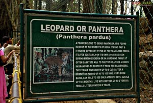 Bannerghatta National Park, Bangalore