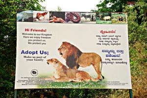 Bannerghatta National Park, Bangalore